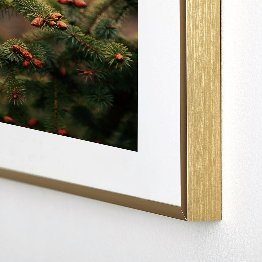 Hannah Kemp Spruce Tips Metal Framed Art Print