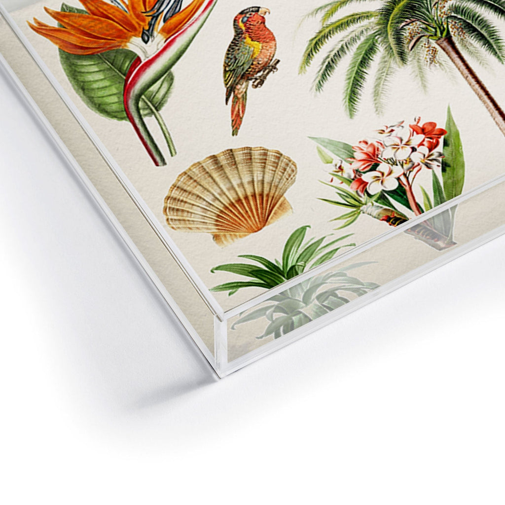 Gal Design Hawaii Collection Acrylic Tray