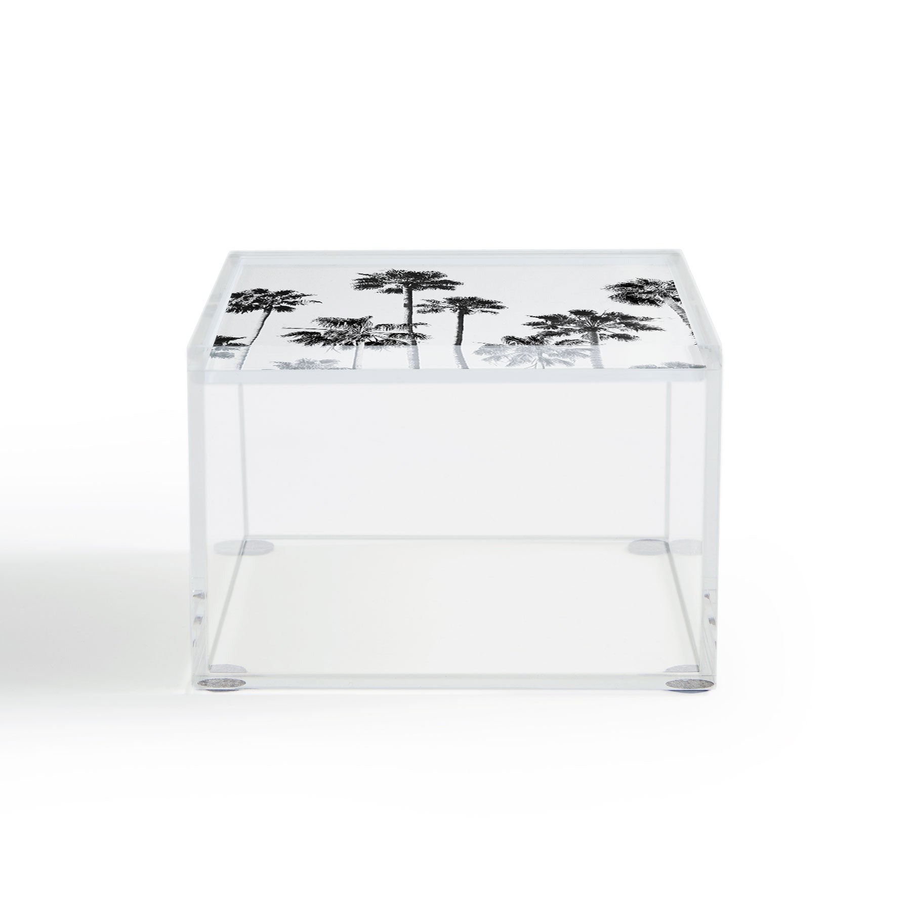Gal Design Black And White Palms Acrylic Box