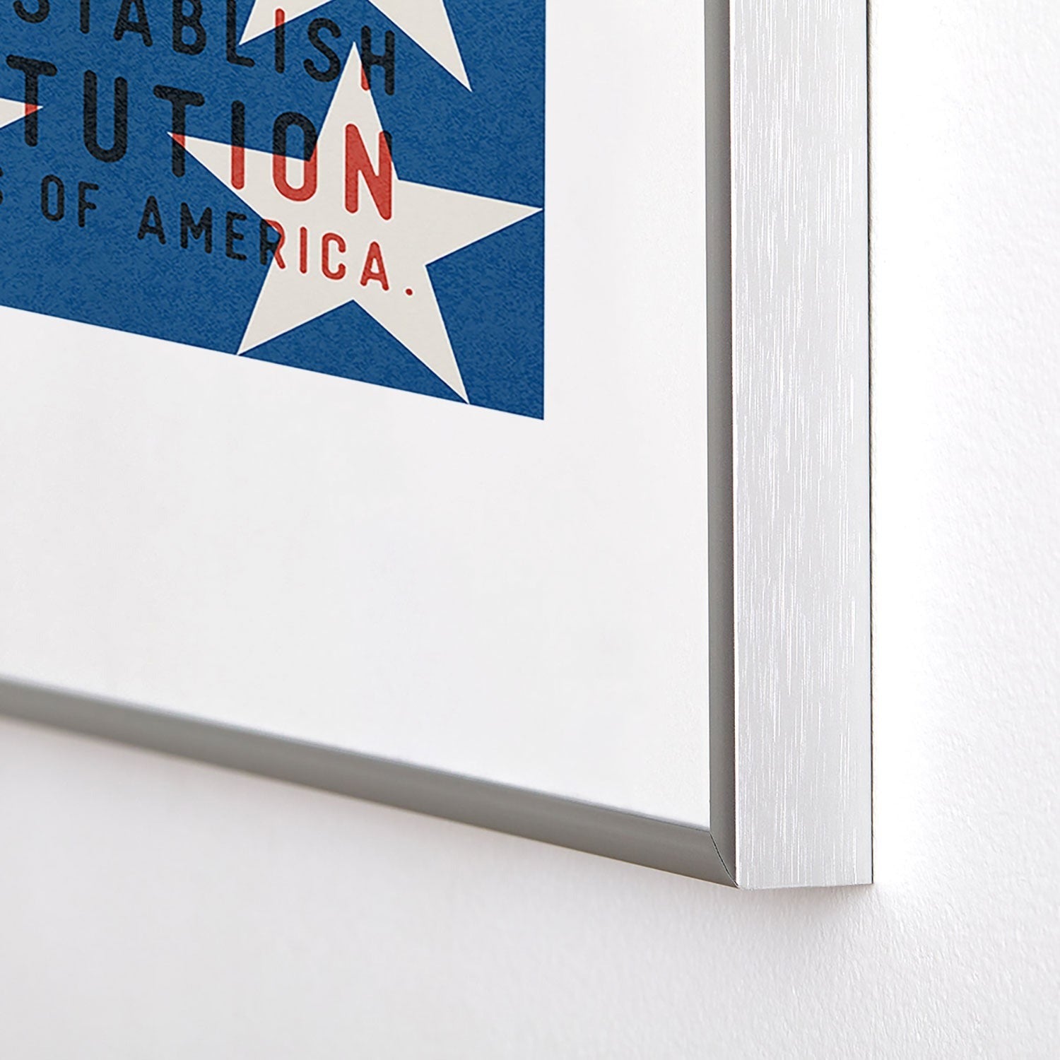 DENY Designs Starred Preamble Metal Framed Art Print
