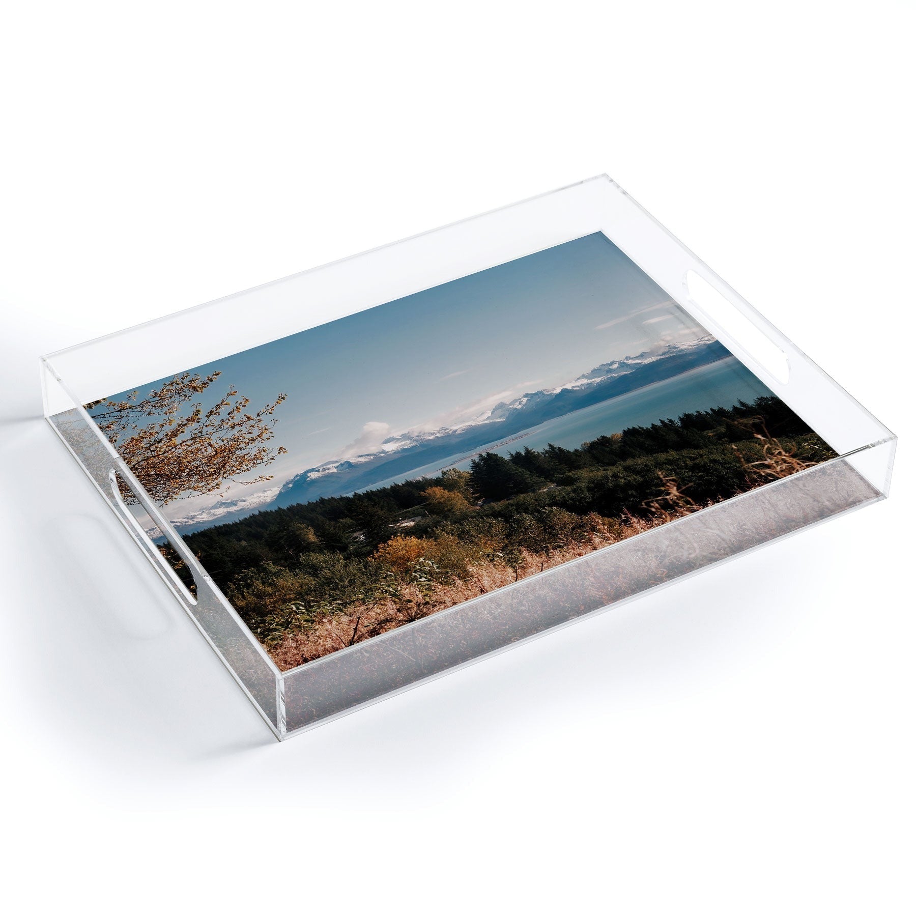 Hannah Kemp Homer Acrylic Tray