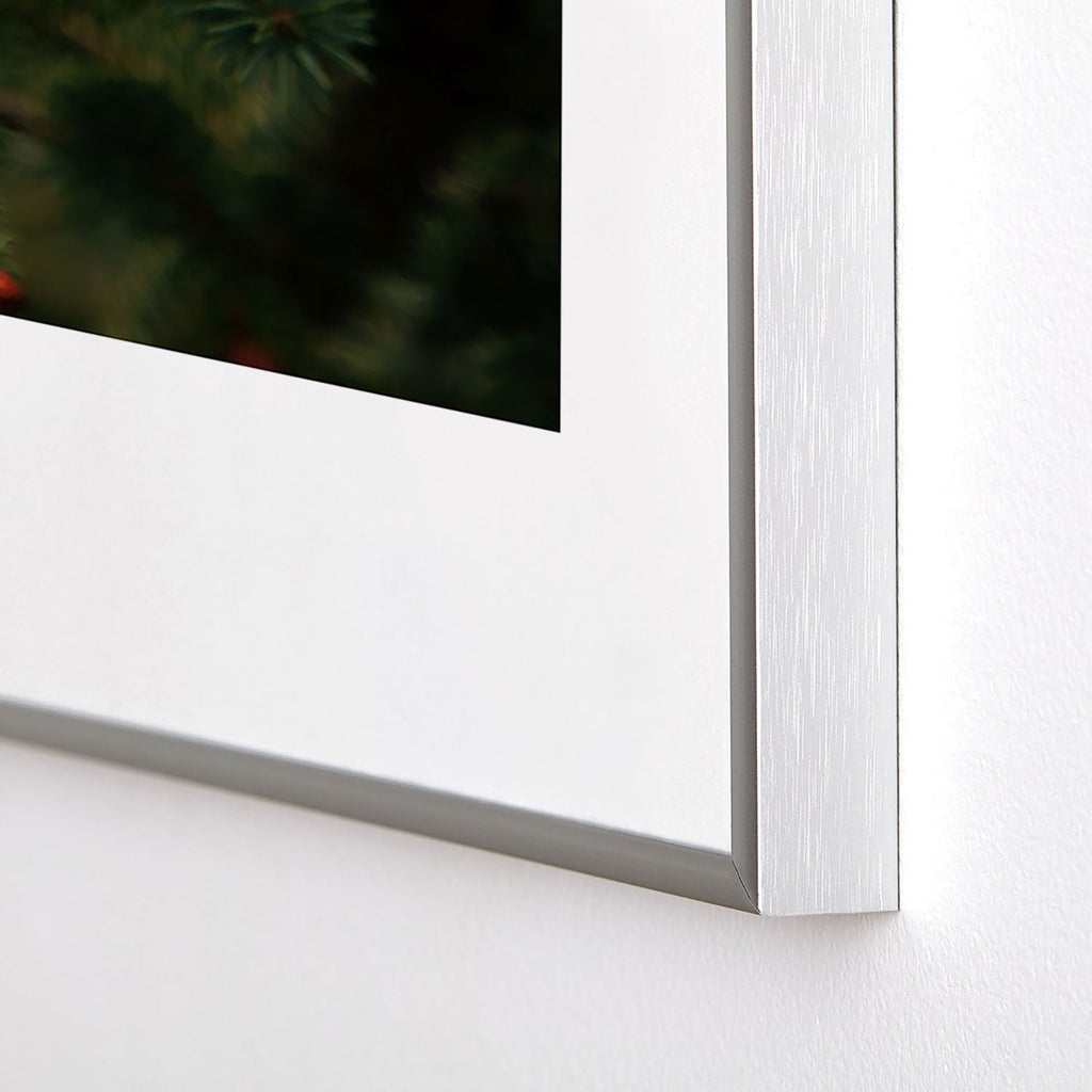 Hannah Kemp Spruce Tips Metal Framed Art Print