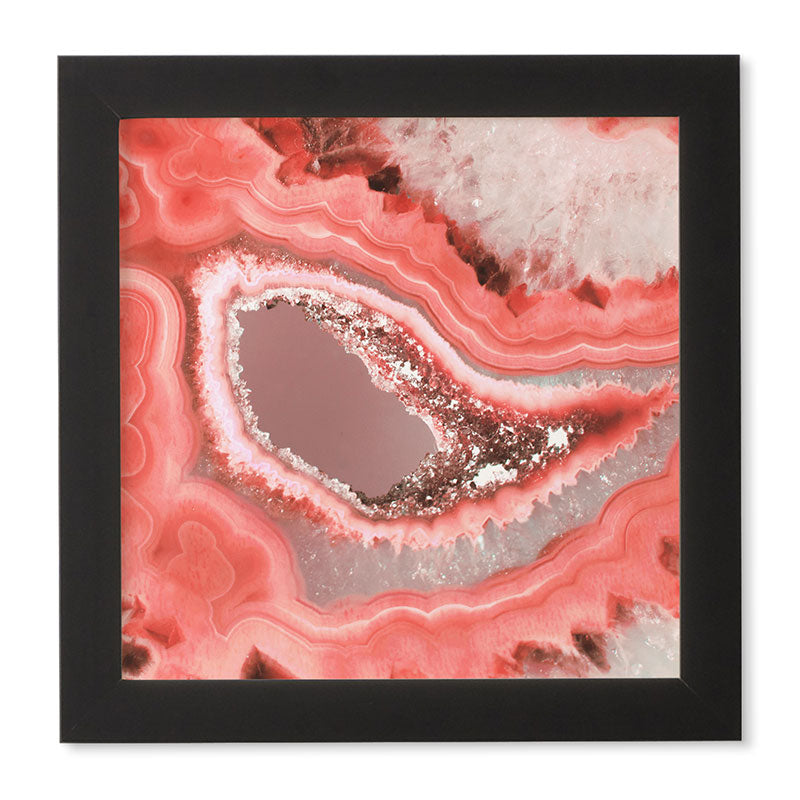 Emanuela Carratoni Coral Agate Framed Wall Art