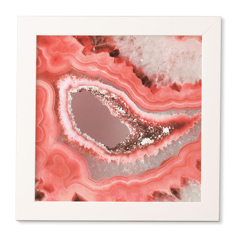 Emanuela Carratoni Coral Agate Framed Wall Art