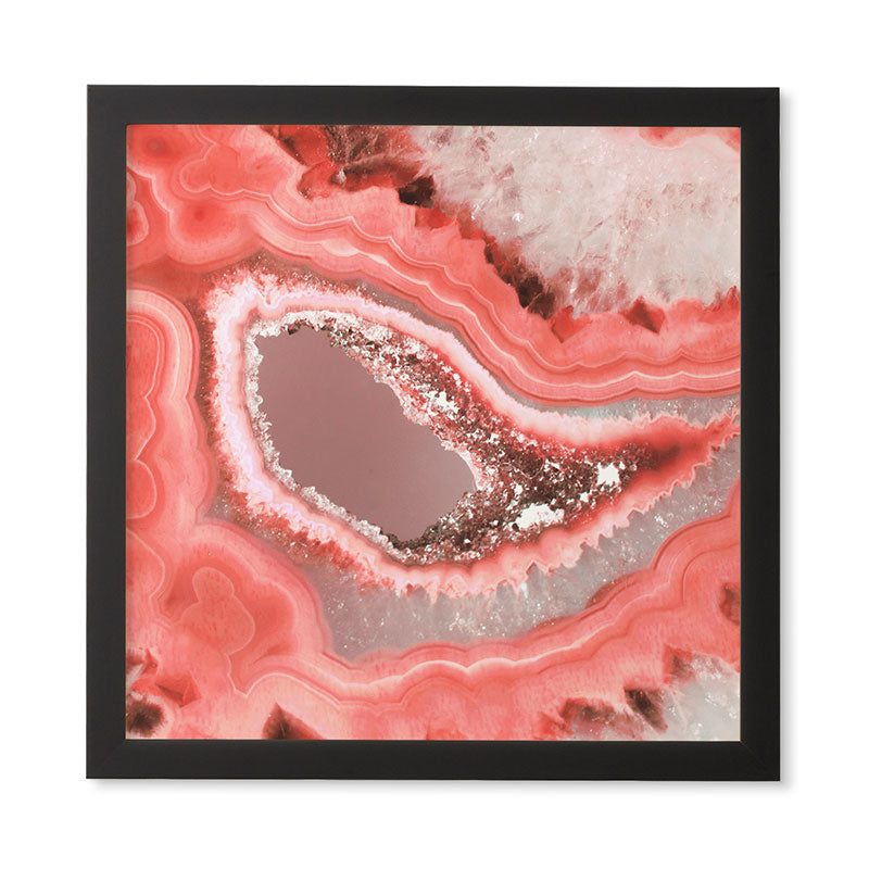 Emanuela Carratoni Coral Agate Framed Wall Art