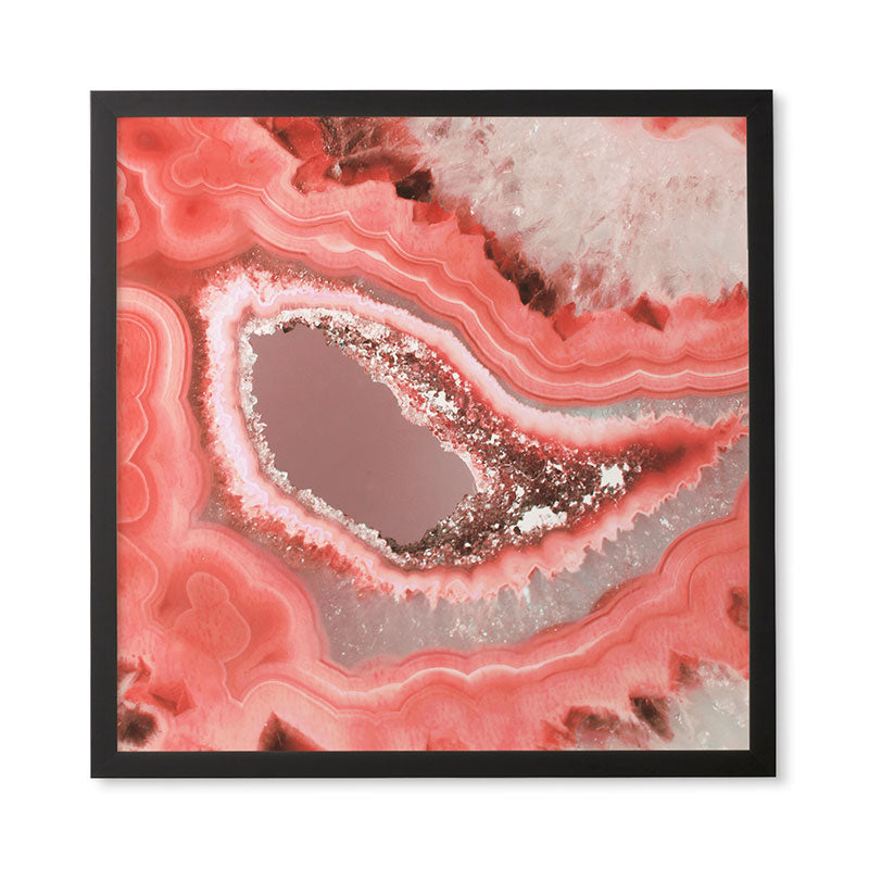 Emanuela Carratoni Coral Agate Framed Wall Art