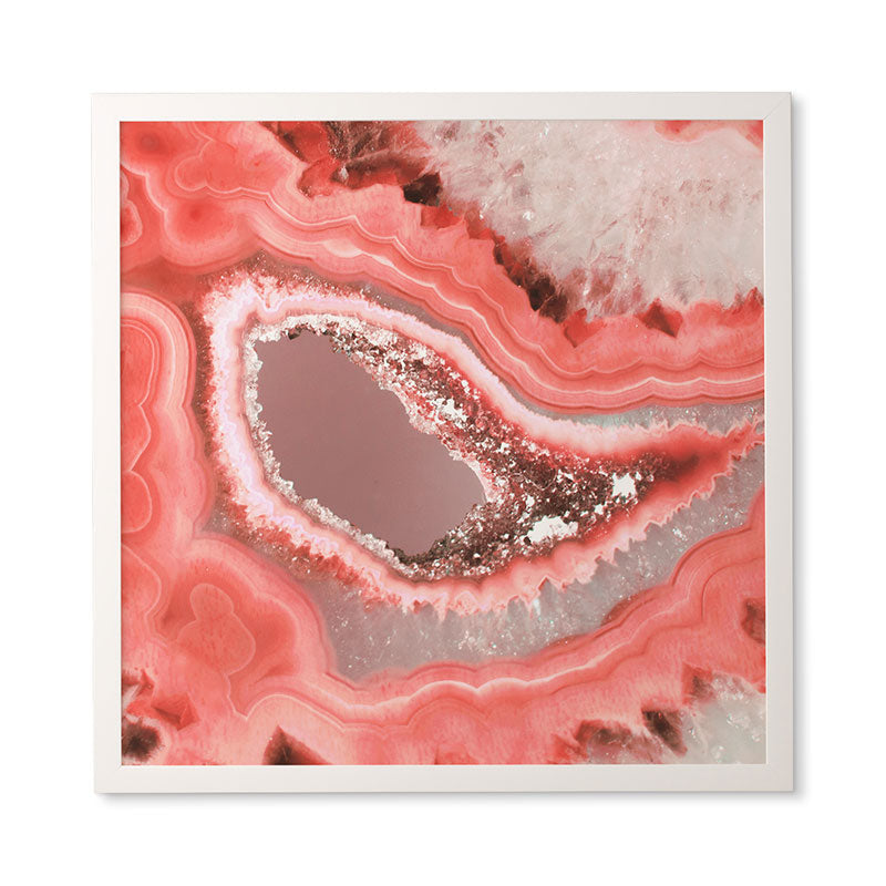 Emanuela Carratoni Coral Agate Framed Wall Art