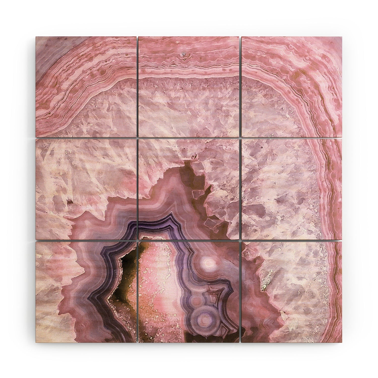 Emanuela Carratoni Pale Pink Agate Wood Wall Mural