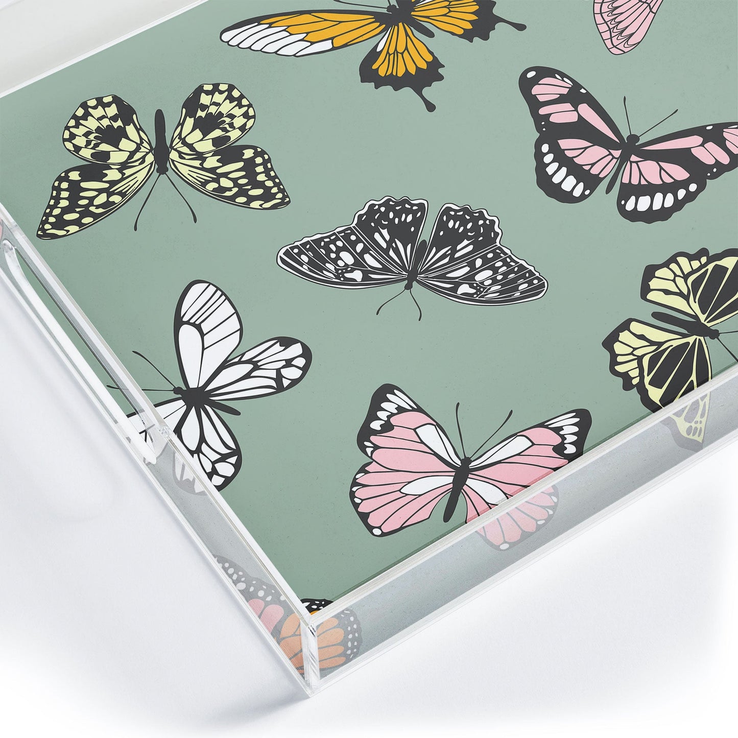 Emanuela Carratoni Wild Butterflies Acrylic Tray