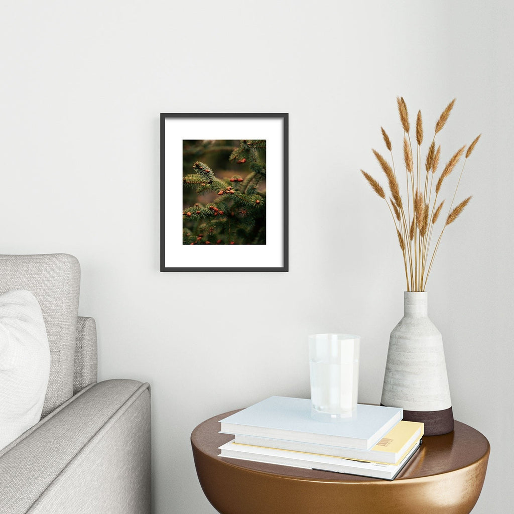 Hannah Kemp Spruce Tips Metal Framed Art Print