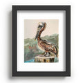 Emily Tucci Pelican Recessed Framing Rectangle