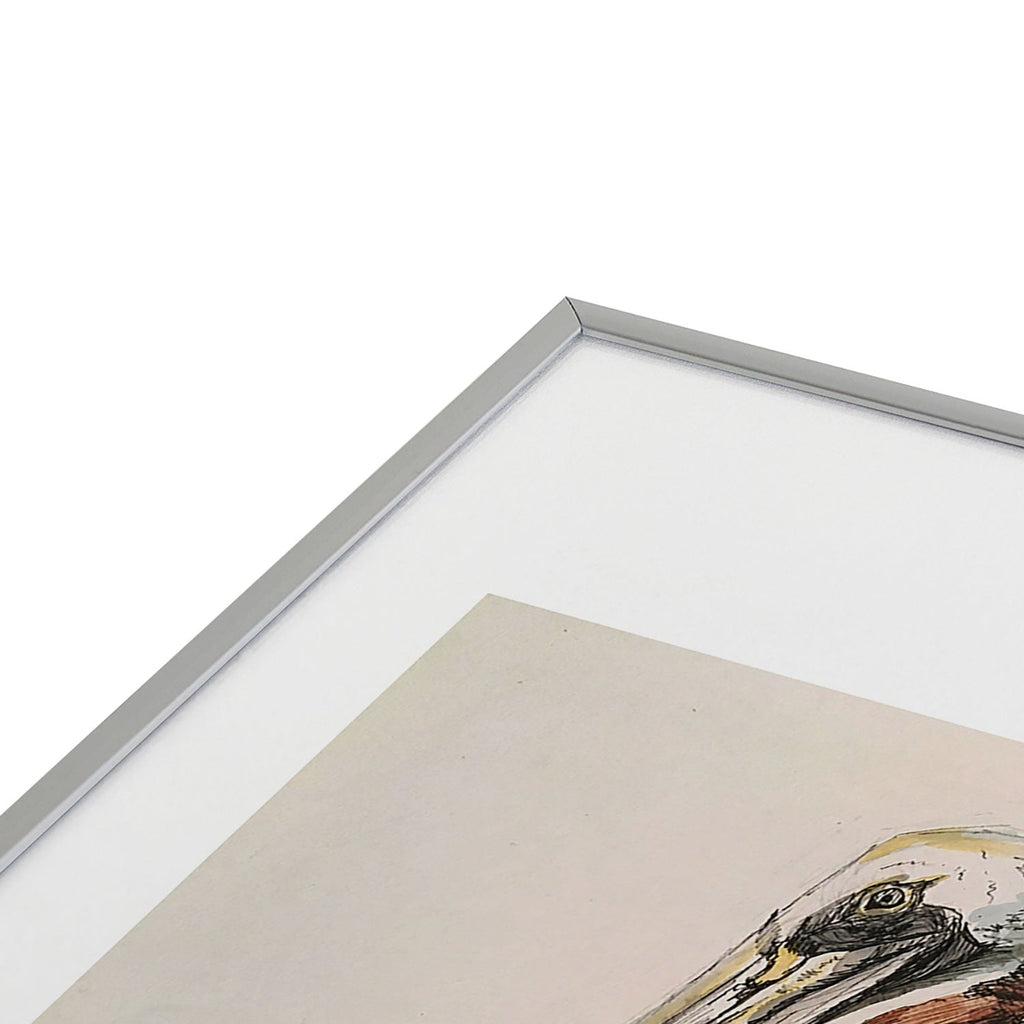 Emily Tucci Pelican Metal Framed Art Print