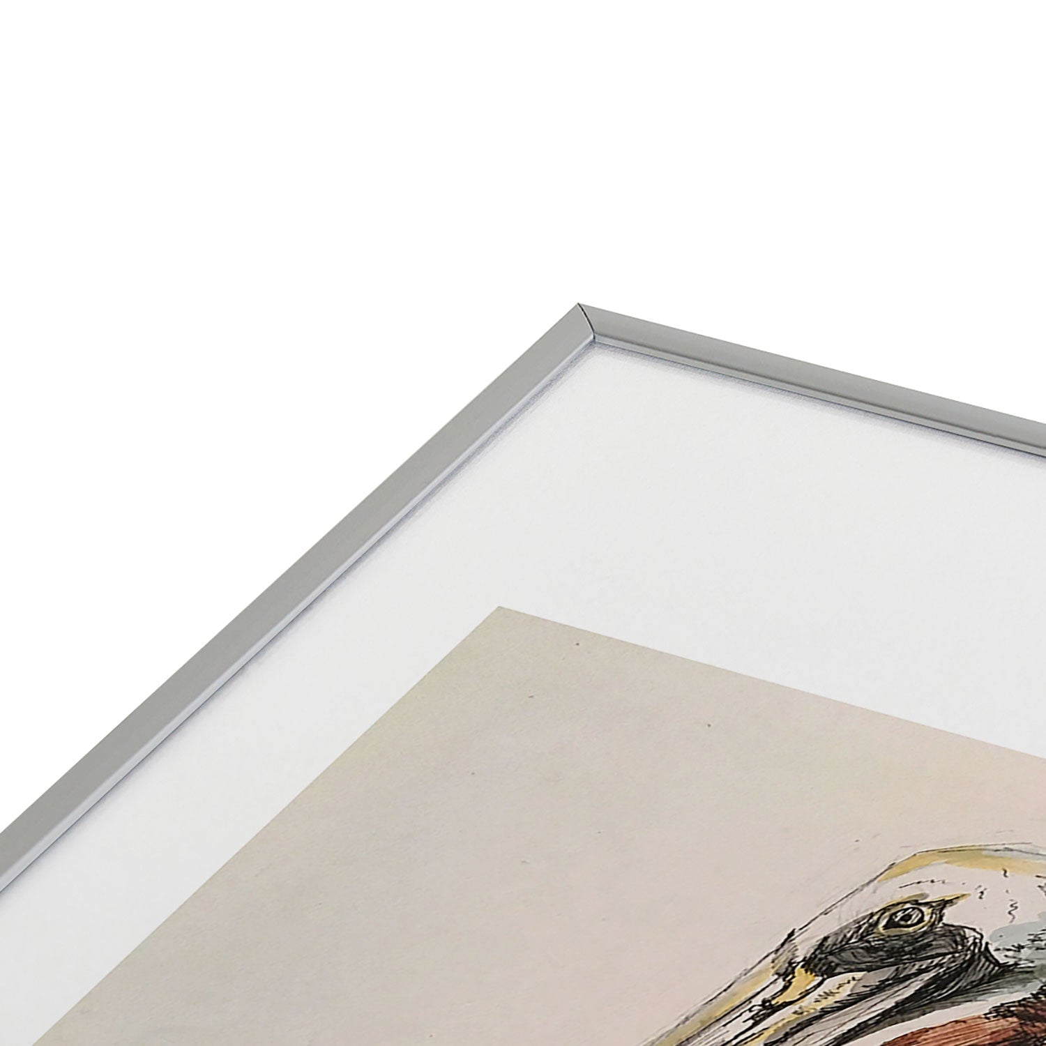 Emily Tucci Pelican Metal Framed Art Print