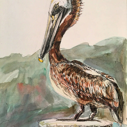 Emily Tucci Pelican Shower Curtain