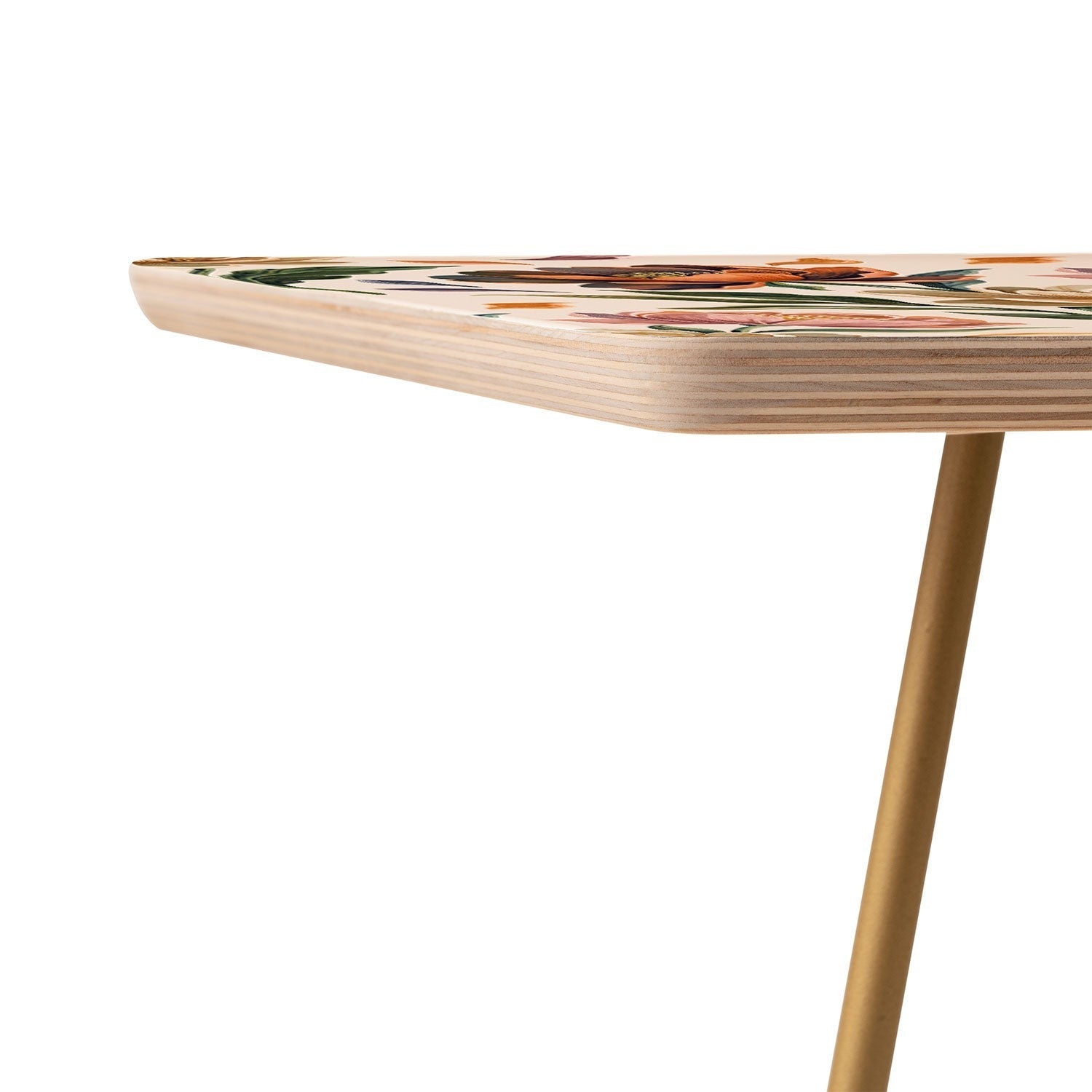 Marta Barragan Camarasa Hand Painted Peony Florals Side Table