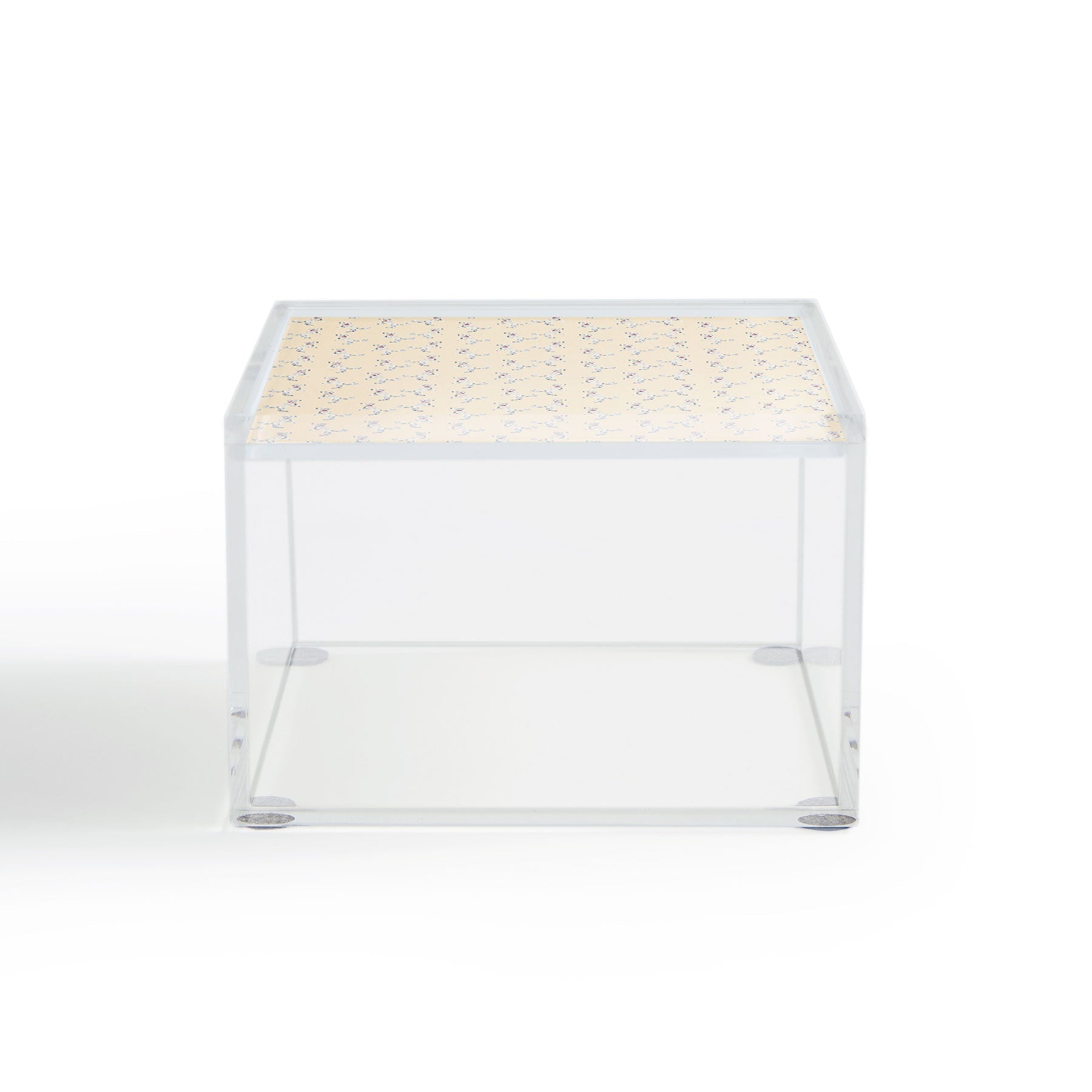 Esca Watercolors White Poodle Acrylic Box