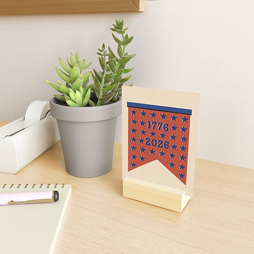 DENY Designs Star Banner Mini Art Print