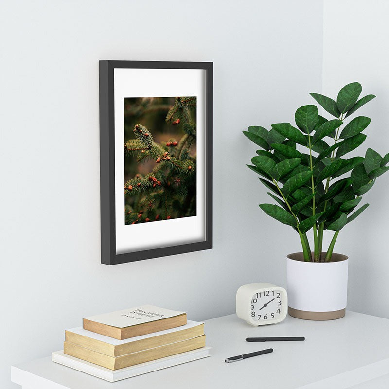 Hannah Kemp Spruce Tips Recessed Framing Rectangle
