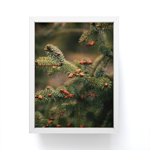 Hannah Kemp Spruce Tips Framed Mini Art Print