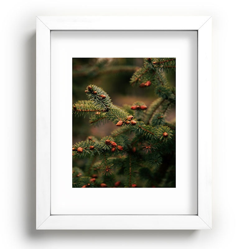 Hannah Kemp Spruce Tips Recessed Framing Rectangle