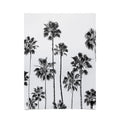 Gal Design Black And White Palms Poster