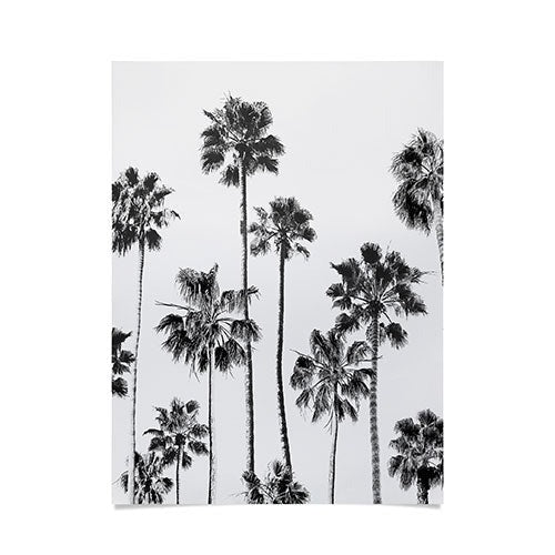 Gal Design Black And White Palms Poster