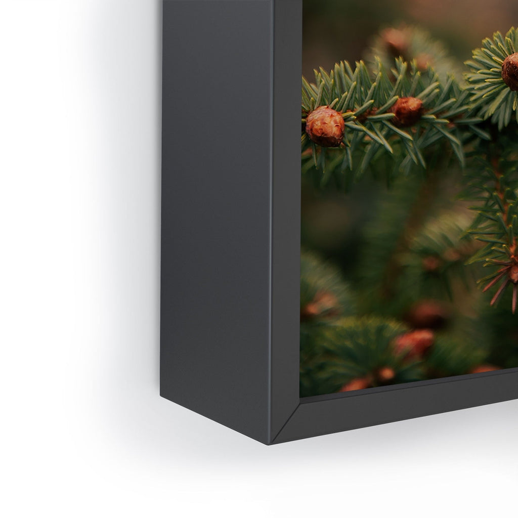 Hannah Kemp Spruce Tips Framed Mini Art Print