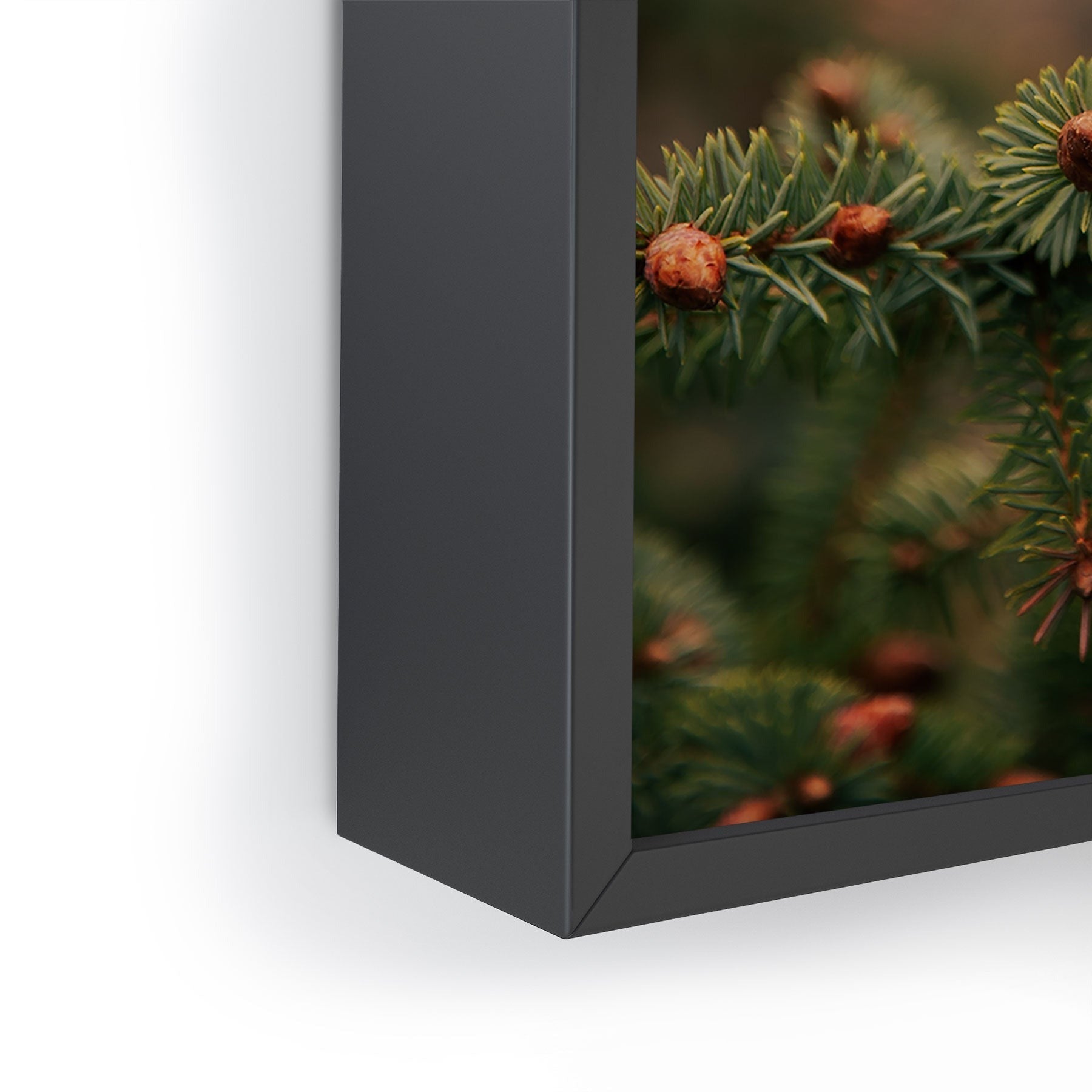 Hannah Kemp Spruce Tips Framed Mini Art Print