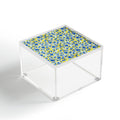 Gabriela Fuente Day Dreaming Watercolor Acrylic Box
