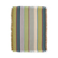 Marta Barragan Camarasa Colorful Stripe Delight Throw Blanket