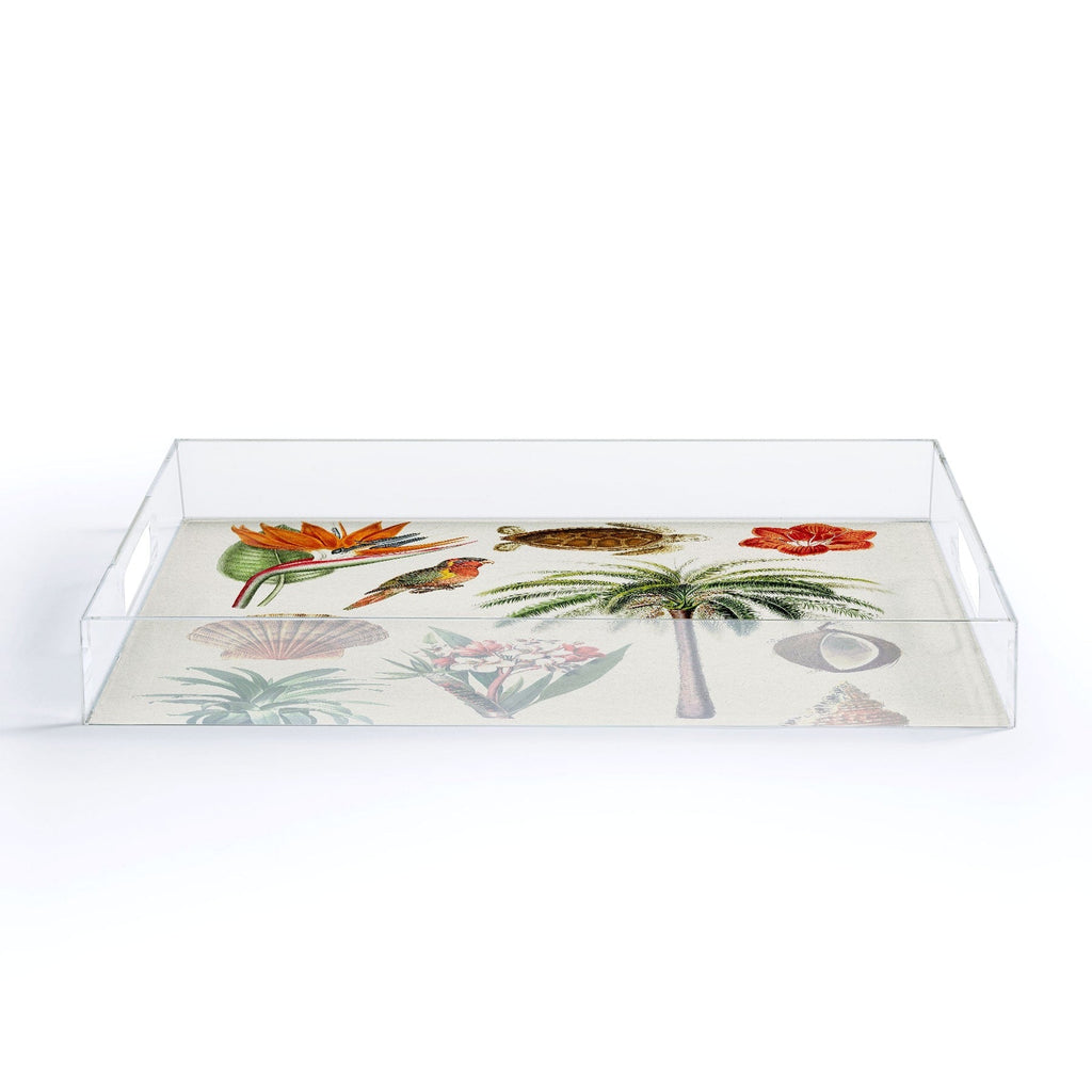 Gal Design Hawaii Collection Acrylic Tray