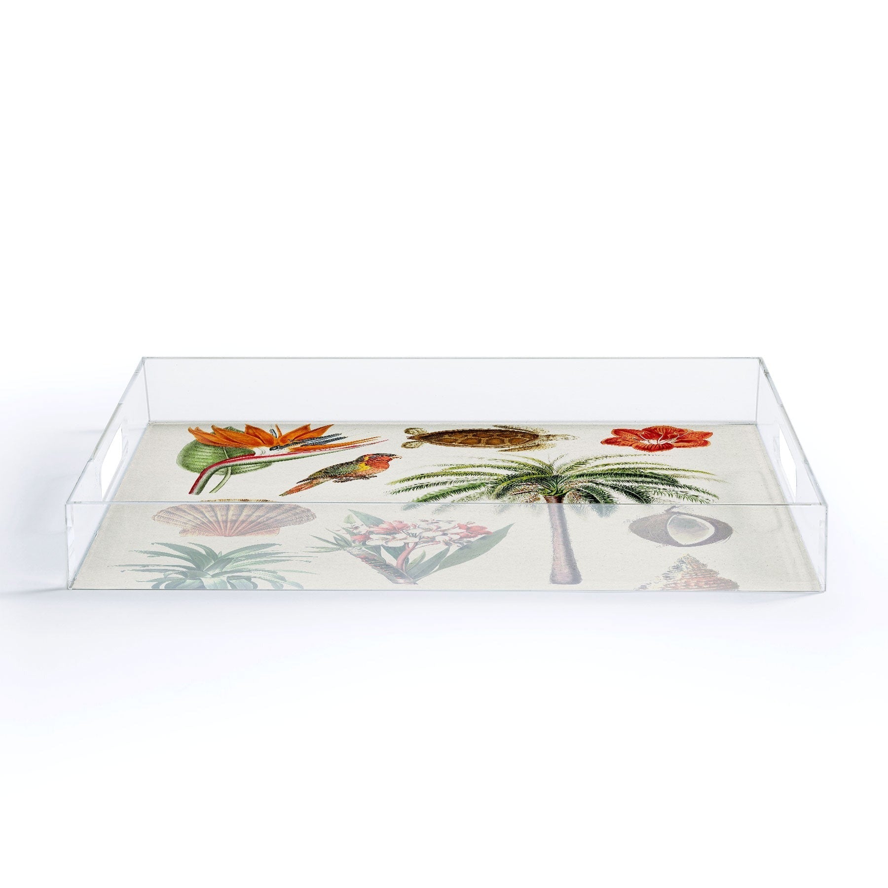 Gal Design Hawaii Collection Acrylic Tray