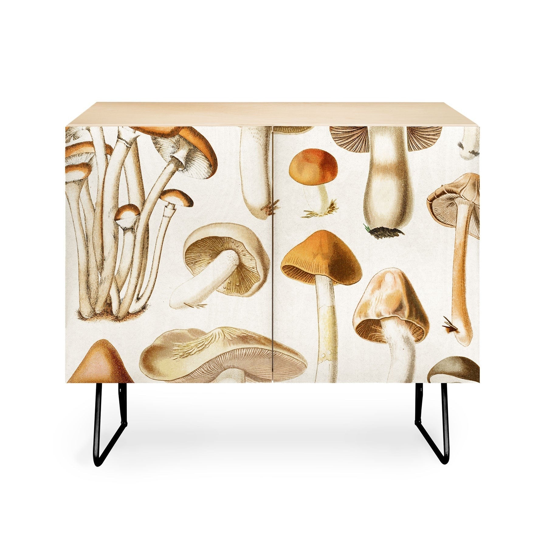 Gal Design Mushrooms Collection Credenza