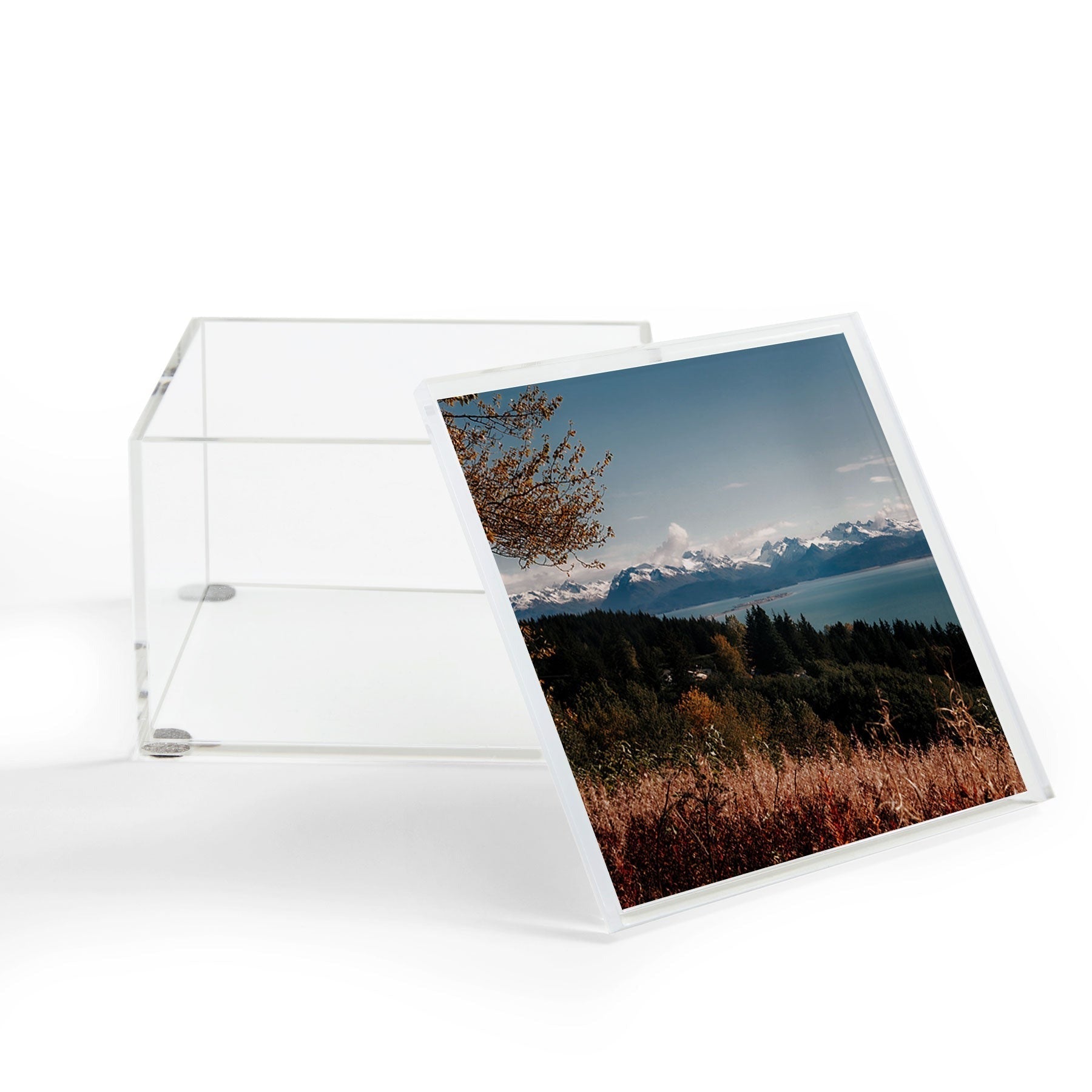 Hannah Kemp Homer Acrylic Box