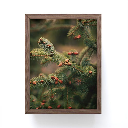 Hannah Kemp Spruce Tips Framed Mini Art Print