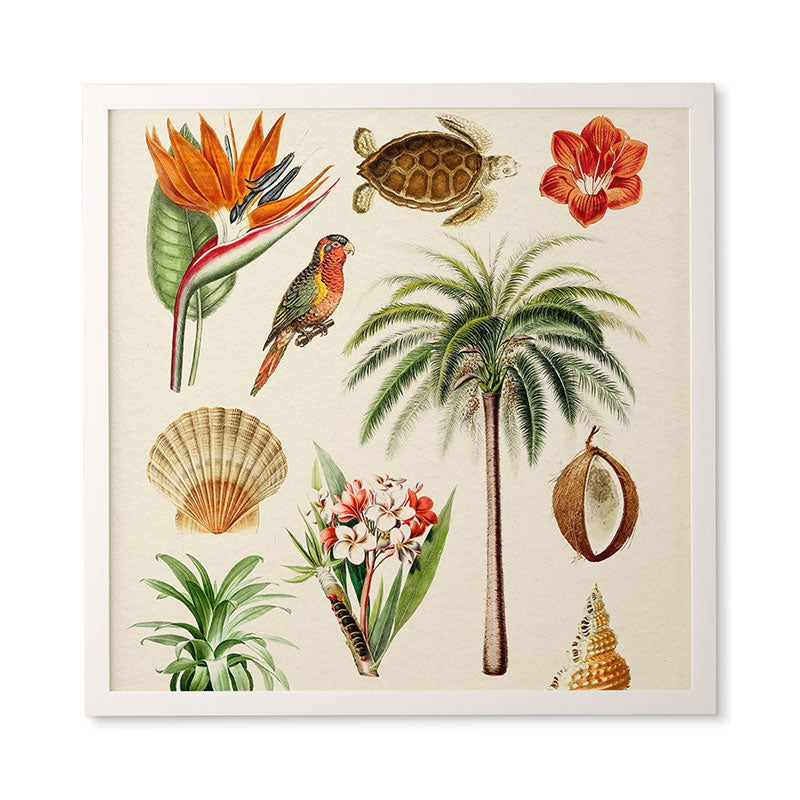 Gal Design Hawaii Collection Framed Wall Art