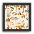 Gal Design Mushrooms Collection Recessed Framing Square
