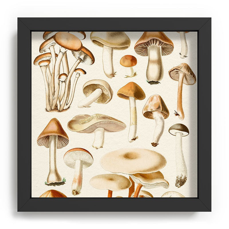 Gal Design Mushrooms Collection Recessed Framing Square