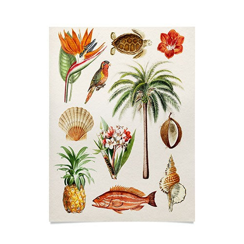 Gal Design Hawaii Collection Poster