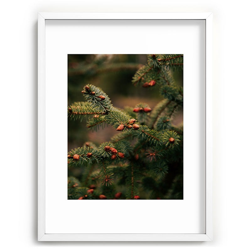 Hannah Kemp Spruce Tips Recessed Framing Rectangle