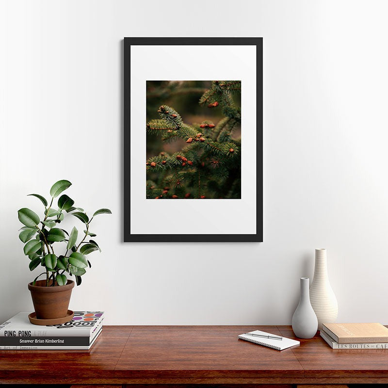 Hannah Kemp Spruce Tips Framed Art Print