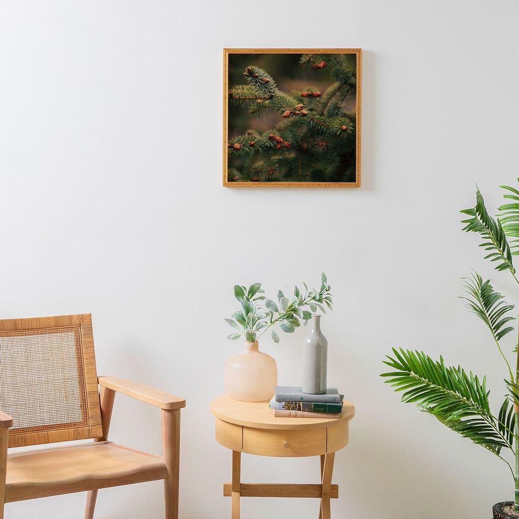 Hannah Kemp Spruce Tips Framed Wall Art