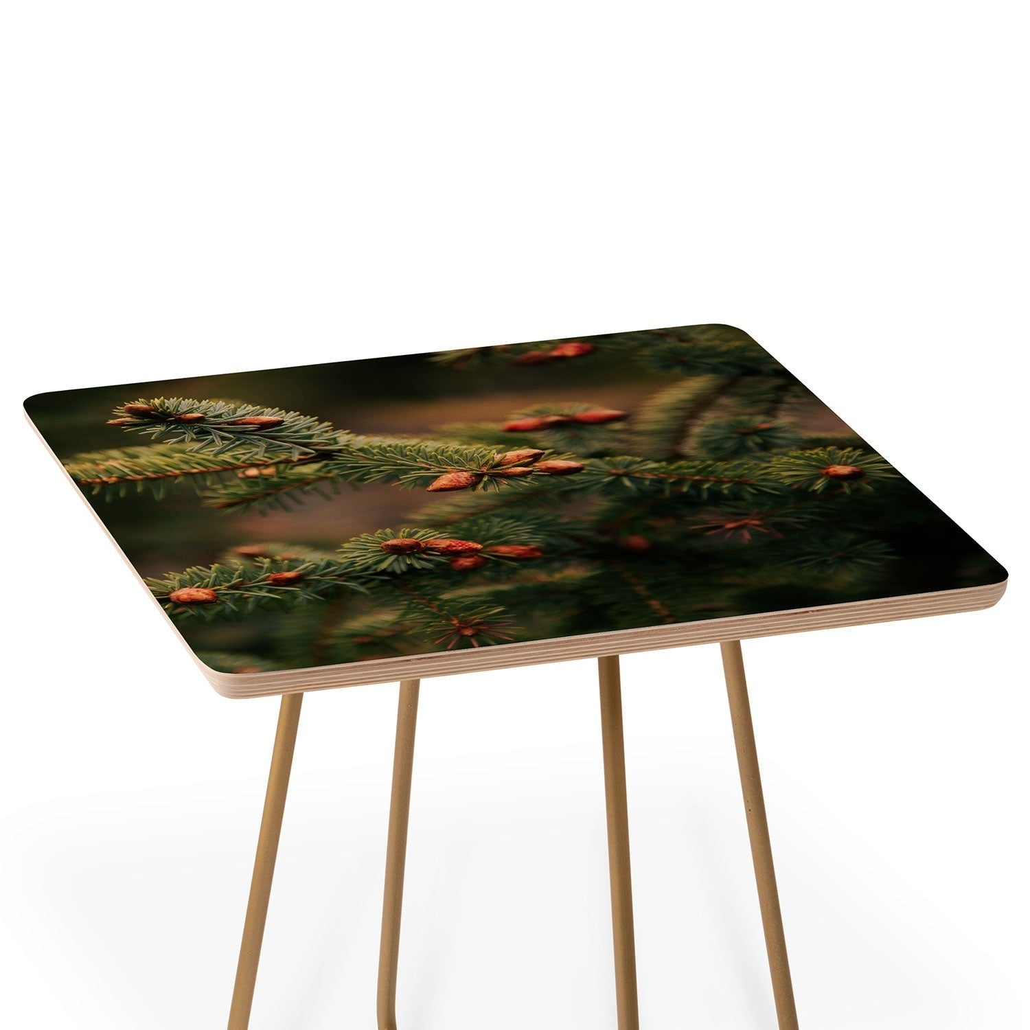 Hannah Kemp Spruce Tips Side Table