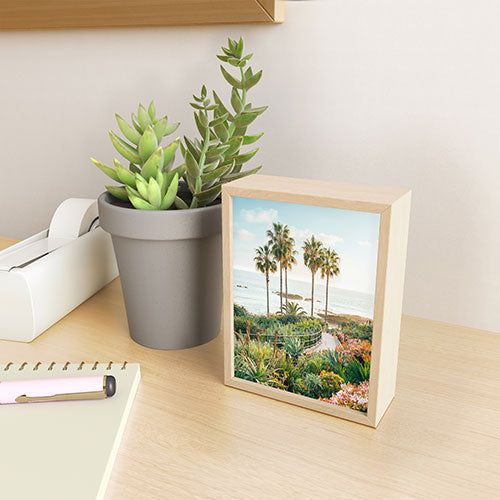 Gal Design Beachside Bloom Framed Mini Art Print