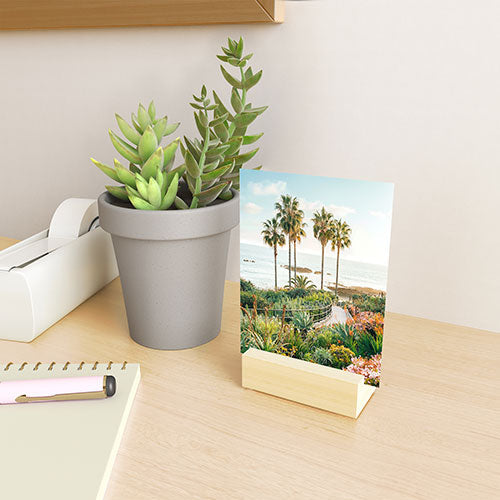 Gal Design Beachside Bloom Mini Art Print