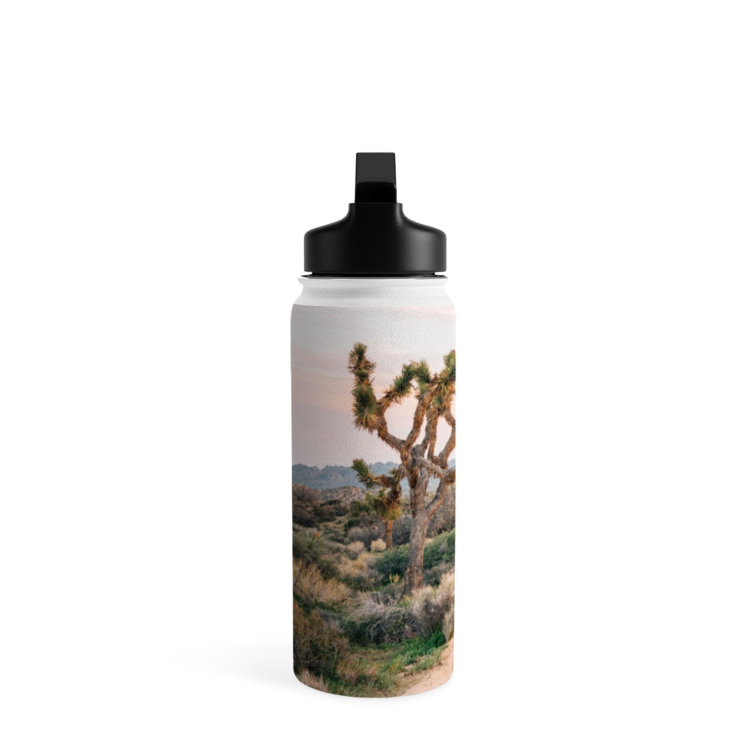 Gal Design The Desert Cowgirl Water Bottle