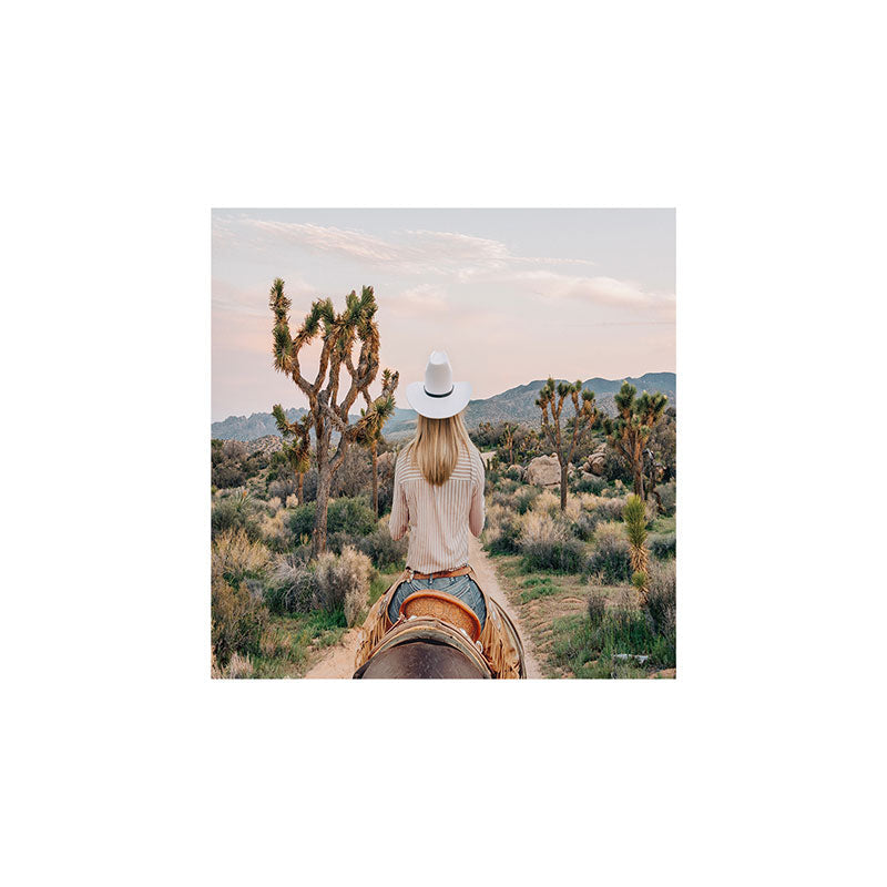 Gal Design The Desert Cowgirl Art Print