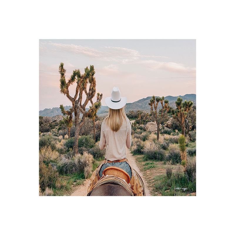 Gal Design The Desert Cowgirl Art Print