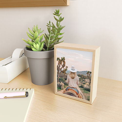 Gal Design The Desert Cowgirl Framed Mini Art Print