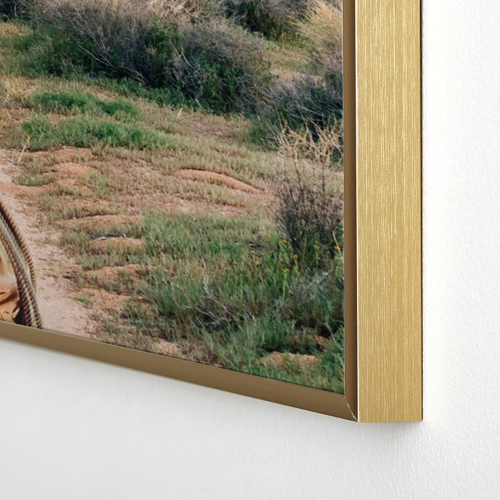 Gal Design The Desert Cowgirl Square Metal Framed Art Print